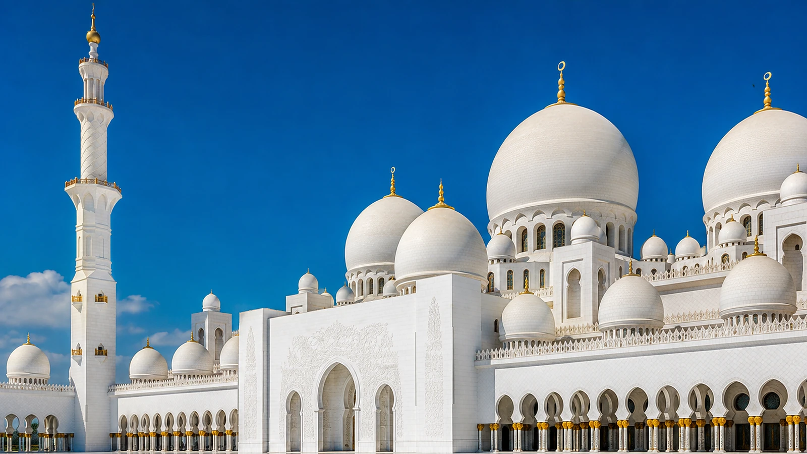 Private local Abu Dhabi sightseeing transport beside the Corniche and city skyline.